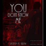 دانلود آهنگ راستینم You Dont Know Me